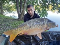 les carpes (20)