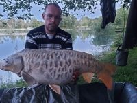 les carpes (25)