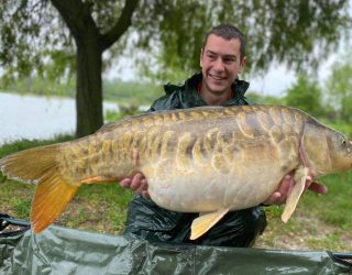 les carpes (26)