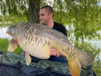 les carpes (38)