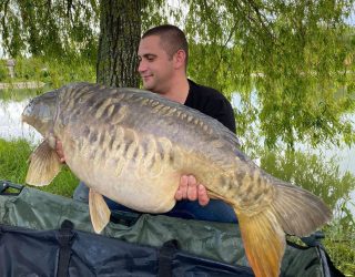 les carpes (38)