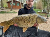 les carpes (39)