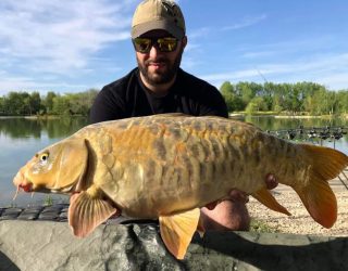 les carpes (41)